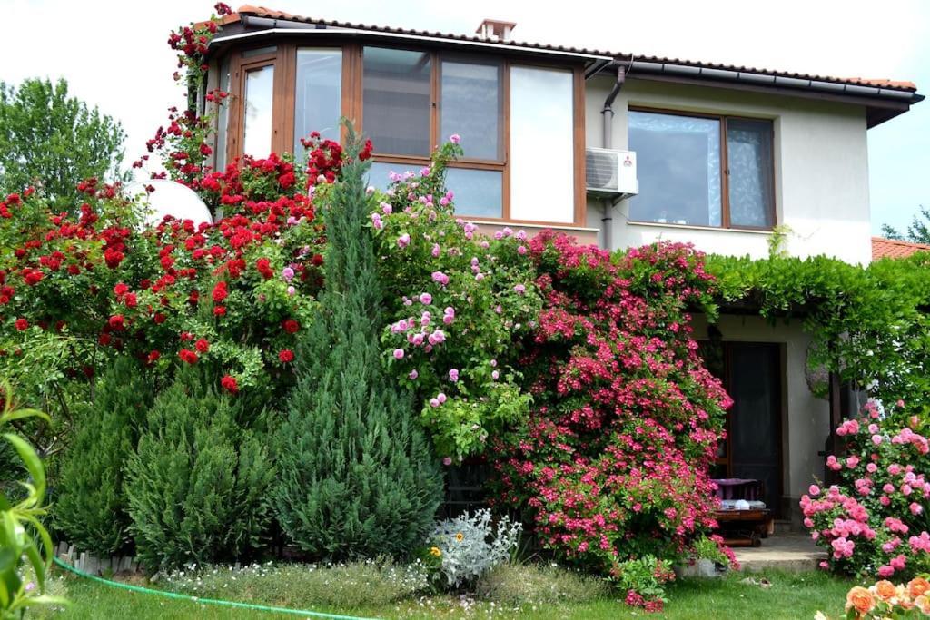 Sea & Garden Villa Varna Exterior foto