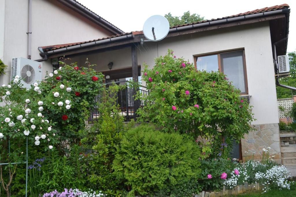 Sea & Garden Villa Varna Exterior foto